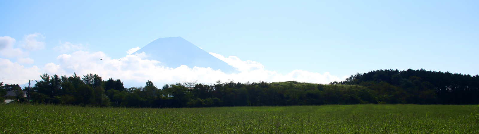 富士の大自然