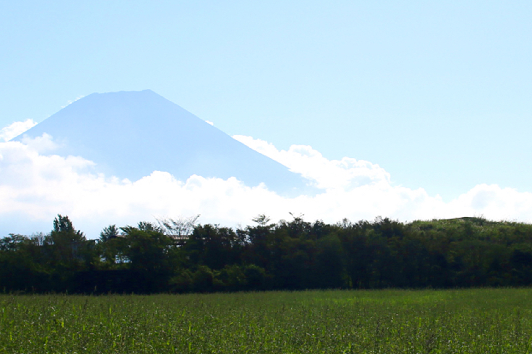 富士の大自然
